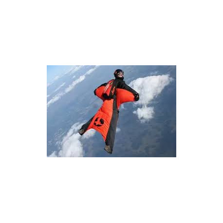 Wingsuit